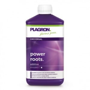 Power Roots 1L