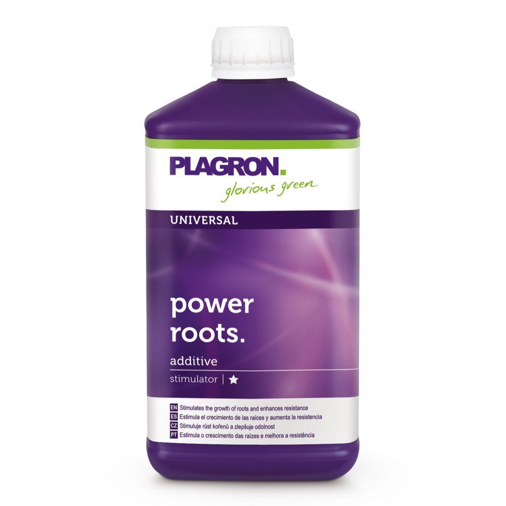Power Roots 1L