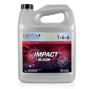Impact Bloom B 1L